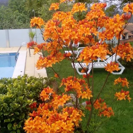 Casa vacanze Charming House In Agueda With Private Pool *