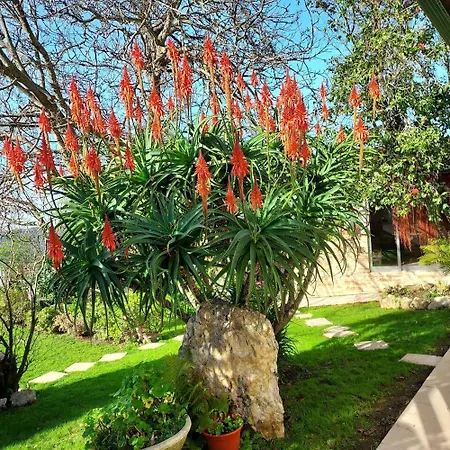 Charming House In Agueda With Private Pool * Aguda (Porto)